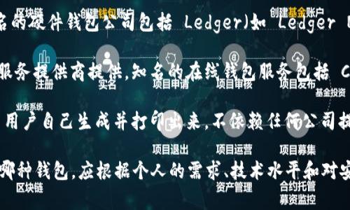 比特币钱包并不是由某一家公司独立提供的，而是由多个公司和团队发展和维护的。不同类型的比特币钱包有着不同的服务商，其中包括：

1. **软件钱包**：这些通常是由各个技术公司开发的应用程序，用户可以在电脑或手机上下载并使用。例如，Blockstream、Exodus、Electrum 等都是相对知名的软件钱包。

2. **硬件钱包**：这是物理设备，用于安全存储比特币密钥。知名的硬件钱包公司包括 Ledger（如 Ledger Nano S 和 Ledger Nano X）和 Trezor。

3. **在线钱包**：这些钱包通常由加密货币交易所或其他在线服务提供商提供。知名的在线钱包服务包括 Coinbase、Binance 和 Blockchain.com。

4. **纸钱包**：纸钱包则是物理形式的比特币储存方式，通常由用户自己生成并打印出来，不依赖任何公司提供服务。

不同的比特币钱包各自有其特点、优缺点和适用场景。选择使用哪种钱包，应根据个人的需求、技术水平和对安全性的重视程度来决定。