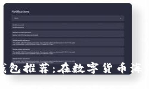 比特币经典钱包推荐：在数字货币海洋中的安全港