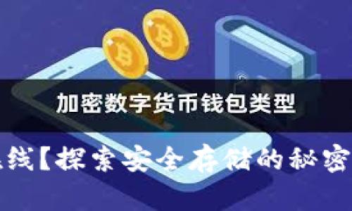 比特币冷钱包不在线？探索安全存储的秘密与流行文化的碰撞