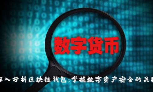 如何深入分析区块链钱包：掌握数字资产安全的关键技巧