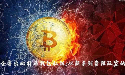 如何安全导出比特币钱包私钥：从新手到资深玩家的全解读