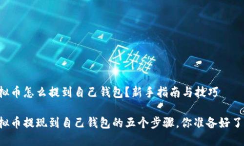 虚拟币怎么提到自己钱包？新手指南与技巧

虚拟币提现到自己钱包的五个步骤，你准备好了吗？