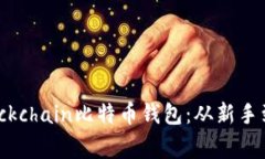 如何安全下载Blockchain比特