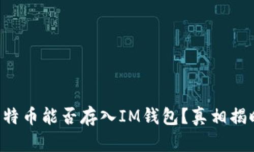 莱特币能否存入IM钱包？真相揭晓！