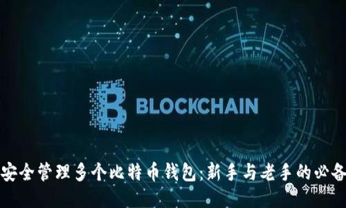 如何安全管理多个比特币钱包：新手与老手的必备指南