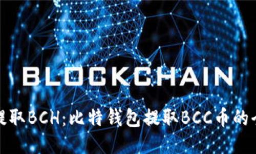 轻松提取BCH：比特钱包提取BCC币的全攻略