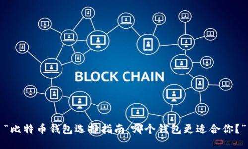 “比特币钱包选择指南：哪个钱包更适合你？”