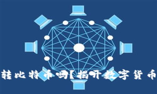 观察钱包能转比特币吗？揭开数字货币世界的面纱