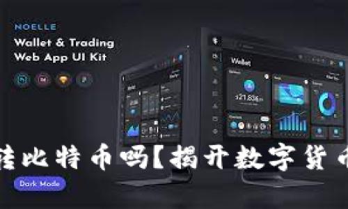 观察钱包能转比特币吗？揭开数字货币世界的面纱