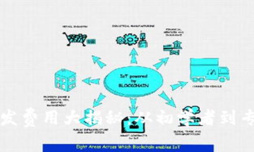 区块链钱包开发费用大揭秘：从初学者到专家的资金攻略