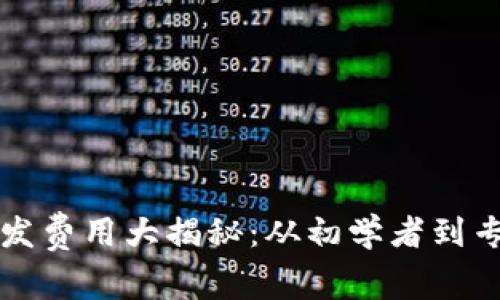 区块链钱包开发费用大揭秘：从初学者到专家的资金攻略