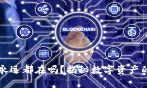 比特币钱包不提永远都在吗？揭秘数字资产的安全与无限可能