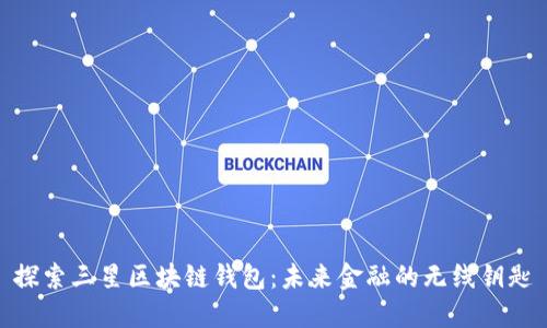 探索三星区块链钱包：未来金融的无线钥匙