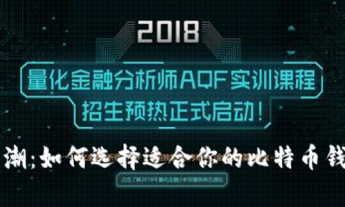 把握财富浪潮：如何选择适合你的比特币钱包进行交易