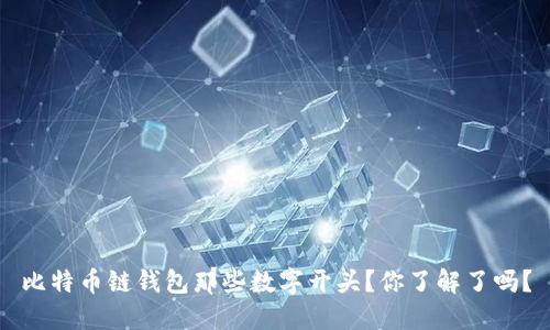 比特币链钱包那些数字开头？你了解了吗？