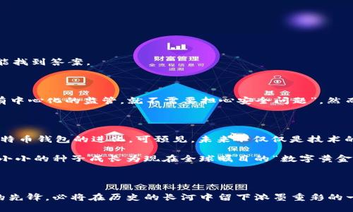 比特币刚推出的时候（2009年），并没有现成的第三方钱包可供使用。最初，比特币的创始人中本聪（Satoshi Nakamoto）在2010年发布了第一个比特币软件，其中包含了一个基本的钱包功能。

比特币初期的钱包：诞生与演变

比特币的出现是一次金融领域的革命，改变了我们对货币的定义和使用方式。刚开始的那段时间里，所有的比特币交易都是通过中本聪开发的比特币网络进行的，而他创作的第一个钱包也如同小树苗，在没有培养的土壤中茁壮成长。

早期只有一些技术极客才能创建和使用这个钱包，因为它需要较强的技术背景和理解区块链的能力。用户需要下载比特币客户端，从而生成一个私钥和相应的钱包地址——这对后来比特币的发展至关重要。

私钥与钱包地址的概念

在讨论比特币钱包时，私钥和钱包地址是两个至关重要的概念。私钥是一串随机生成的数字和字母组合，相当于你金库的钥匙。钱包地址则是公开的，其他人可以通过这个地址向你发送比特币。想象一下，在这个新兴的数字世界中，你必须好好运用这把钥匙，以防被不法分子窃取：

“这...是真的吗？这么简单的一个密码，就可以决定我的财富？”许多人初接触比特币时，其实心中都充满了疑惑和不安。

极客时代的初期

在比特币发展的早期，交易几乎是通过发帖和邮件来完成。很多人是在论坛上讨论比特币的价值和运用，这些极客式的交流，为比特币社区打下了重要的基础。在那个年代，没有人会想到：未来的比特币会进军主流金融市场，成为对抗传统货币的力量。

当然，随着时间的推移，比特币的不断普及，用户的需求也在不断变化。在这个过程中，新的钱包应用迅速涌现出来，给那些想加入比特币生态的普通人提供了更加友好的使用体验。

钱包的多重形式

随着比特币用户群体的增长，各种类型的钱包也应运而生。可以说，它们各具特色，有着不同的使用场景和安全性：

ul
    listrong桌面钱包：/strong用户可以将其安装在个人电脑上，提供较高的安全性。/li
    listrong移动钱包：/strong随着智能手机的普及，许多开发者推出了移动端钱包，方便用户随时随地进行交易。/li
    listrong在线钱包：/strong这些钱包通常由网站提供，使用便利但安全性相对较低。/li
    listrong硬件钱包：/strong生物识别技术、加密认证等手段保障用户资产的安全，尤其适合长期投资者。/li
/ul

每种钱包都有其优缺点，用户在选择时应根据自己的需求和风险偏好进行权衡。这也反映了比特币社区的多样性和包容性，让人们看到，不同的技术手段总能找到答案。

安全性与隐私问题

不过，安全性一直是比特币钱包的大问题。随着用户的增长，不法分子的目光也开始投向这个新兴的市场。比特币的去中心化特点，让许多人误以为“只要没有中心化的监管，就不需要担心安全问题”。然而，事实恰恰相反。在那个网络黑客横行的年代，许多用户因为安全意识的缺失而损失惨重：“我...真的不能相信，这些多少年积攒的财富，就这样烟消云散了。”

比特币钱包的未来发展

随着技术的不断进步，比特币钱包的未来会越来越多样化。比如，越来越多的人开始关注钱包的隐私保护问题，像“闪电网络”这样的创新，也在不断推动着比特币钱包的进化。可预见，未来不仅仅是技术的竞争，钱包的安全性、用户体验、隐私保护等多方面都会成为焦点。

通过对比特币钱包演变历程的分析，我们不难发现，这一路走来，密码学、金融科技、区块链技术的壮大，最终都成就了比特币的发展。比特币为什么能从一颗小小的种子成长为现在全球瞩目的“数字黄金”？或许正是因为它的背后，承载着无数人的梦想和追求——在这个充满不确定性的时代，确实需要一个“去中心化”的替代品。

结语

比特币钱包的历史，不仅仅是一段技术史，更是人类追求自由与隐私的缩影。在未来，随着技术的不断演变，更多新的形式将会出现，而比特币作为数字货币的先锋，必将在历史的长河中留下浓墨重彩的一笔。