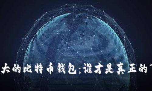 揭秘世界最大的比特币钱包：谁才是真正的“数字金库”？