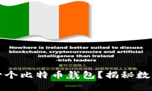 一个人可以拥有多少个比特币钱包？揭秘数字货币的选择与策略