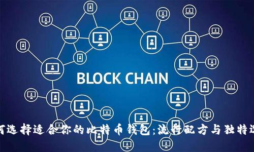 如何选择适合你的比特币钱包：流行配方与独特选择