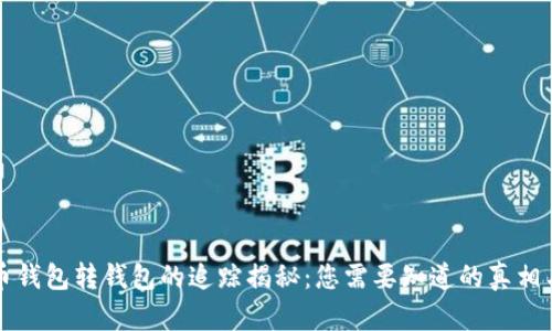 比特币钱包转钱包的追踪揭秘：您需要知道的真相与技巧