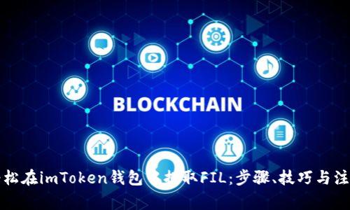 如何轻松在imToken钱包中提取FIL：步骤、技巧与注意事项