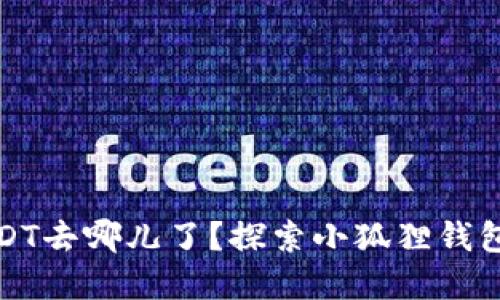 小狐狸钱包里的USDT去哪儿了？探索小狐狸钱包的秘密与解决方案