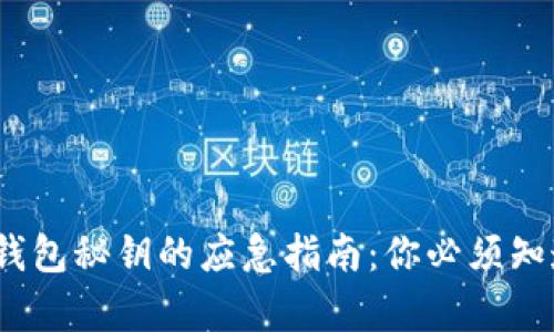 找回imToken钱包秘钥的应急指南：你必须知道的恢复步骤！