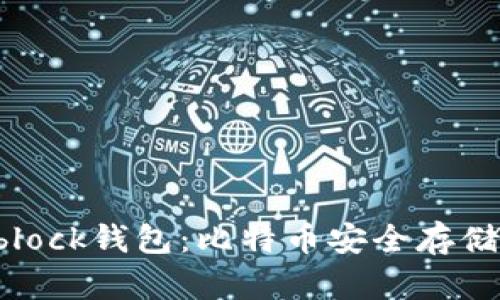 深度解析Sblock钱包：比特币安全存储与实用指南