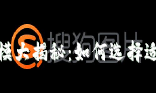 : 比特币钱包规模大揭秘：如何选择适合你的数字钱包