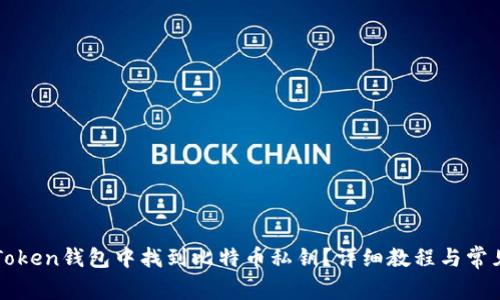 如何在imToken钱包中找到比特币私钥？详细教程与常见问题解答