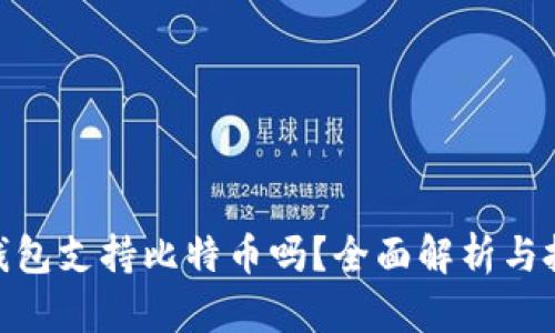 : 百度钱包支持比特币吗？全面解析与投资建议