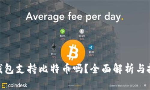 : 百度钱包支持比特币吗？全面解析与投资建议